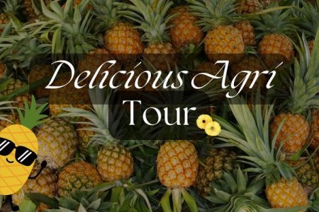 Scenic Pineapple Farm Tour