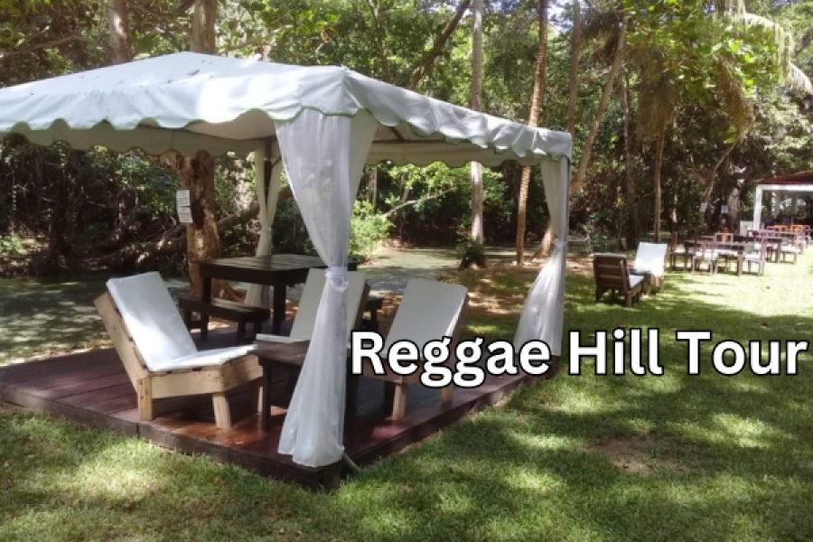 Reggae Hill